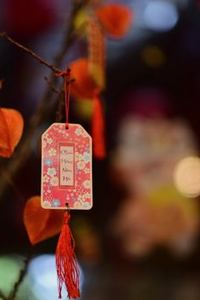 tiến lên trực tuyến Sodo